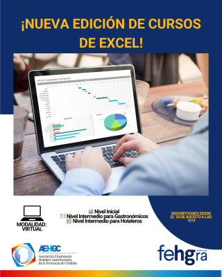 FEHGRA: CURSOS DE EXCEL